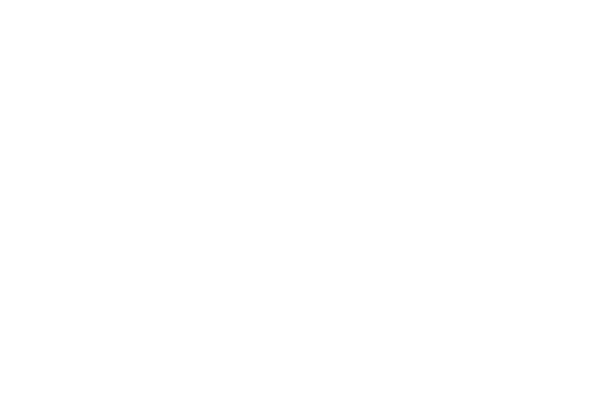 SYNQ